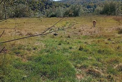 Casă cu 5 camere cu Teren 5500 Mp în Central