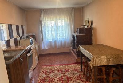 Casă cu 4 camere în Vasile Alecsandri