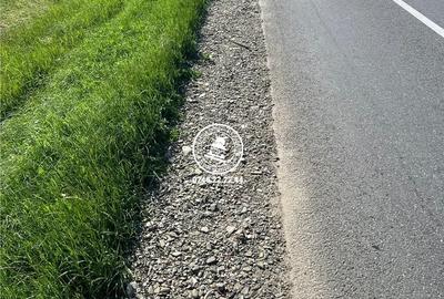 Teren de 29300 mp, în Dumești