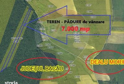 Teren de 7000 mp, în Dealu Morii - 3