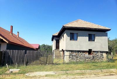 Casă cu 3 camere cu Teren 1200 Mp în Bălănești