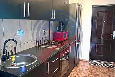 Apartament cu 3 camere în Craiovița Nouă