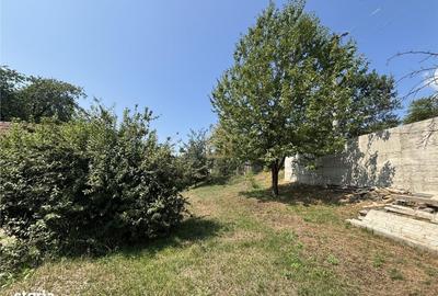 Casă cu 4 camere în Griviței