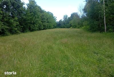 Teren de 1773 mp, în Bănești - 6
