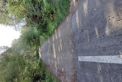 Teren de 4500 mp, în Stupinii Prejmerului