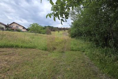 Teren Construcții intravilan de 460 mp, în Mușcel