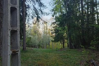 Teren de 1800 mp, în Ghețari