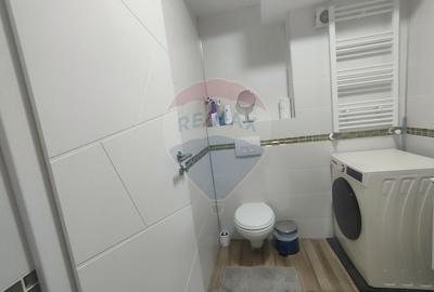 Apartament cu 2 camere decomandat, mobilat în Țiglari - 13