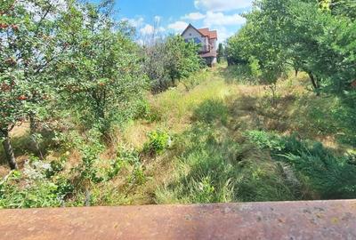 Casă individuală cu 5 camere cu Canalizare în Domnești - 4