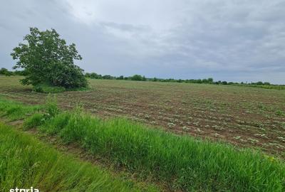 Teren de 1500 mp, în Moara Vlăsiei