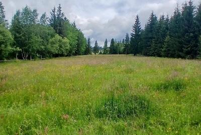 Teren de 6000 mp, în Central