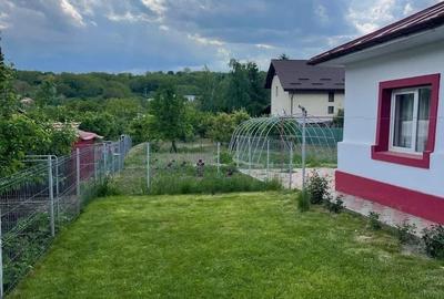 Casă cu 3 camere cu Teren 1366 Mp în Mărgineni - 11