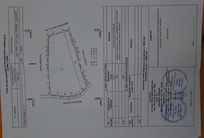 Teren de 3800 mp, în Arefu