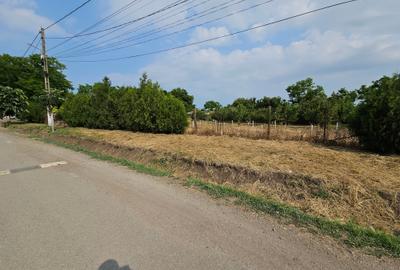 Teren Construcții intravilan de 5465 mp, în Topraisar - 3