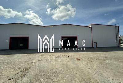 Spațiu industrial, de 6,857 mp, în Mârșa - 4