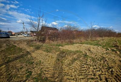 Teren Construcții intravilan de 2273 mp, în Periferie - 6