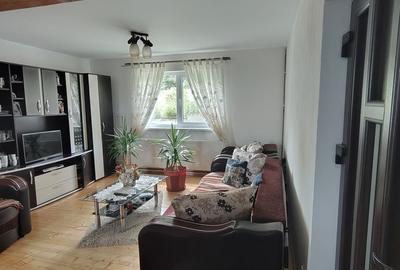 Casă cu 5 camere cu Teren 425 Mp în Sadu - 10