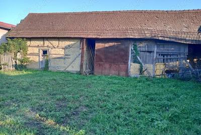 Casă cu 1 camere cu Teren 1500 Mp în Sâmbăta - 1