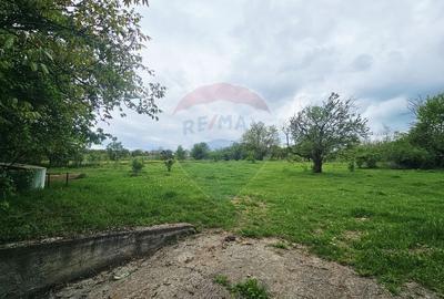 Teren Construcții intravilan de 5350 mp, în Dobreni - 21