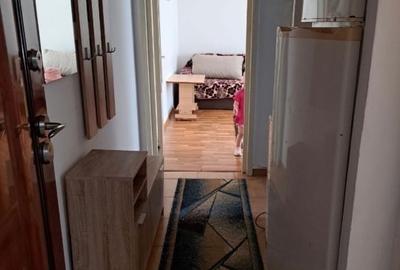 Apartament cu 2 camere semidecomandat, mobilat în Farfuria