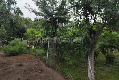 Casă cu Teren 1033 Mp în Bogdăneștilor - 2