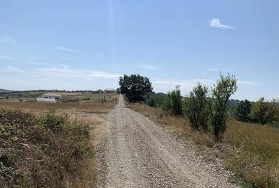 Teren de 1227 mp, în Săldăbagiu de Munte
