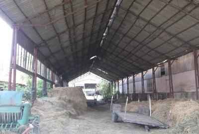 Teren de 12580 mp, în Șopotu Vechi