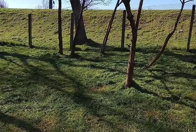 Teren de 1745 mp, în Voivodeni