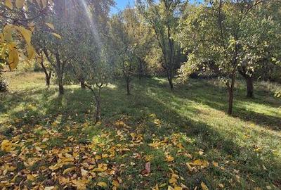 Teren de 6800 mp, în Berislăvești - 5