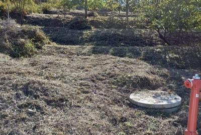 Teren de 810 mp, în Podgoria - 4