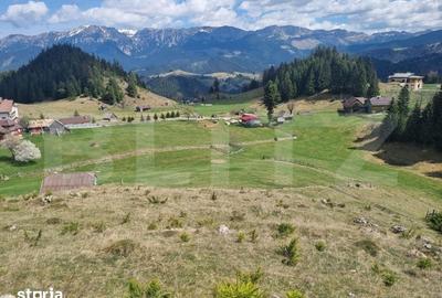 Teren de 16874 mp, în Fundata - 4