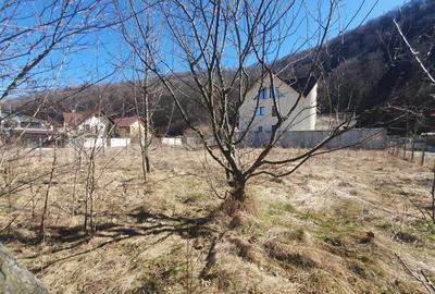 Spațiu comercial, în Timișu de Jos - 3