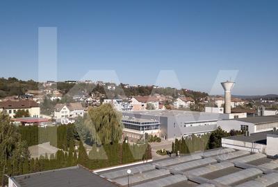 Spațiu industrial, de 5,457 mp, în Cisnădie - 1