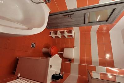 Apartament cu 2 camere decomandat în Dristor - 1
