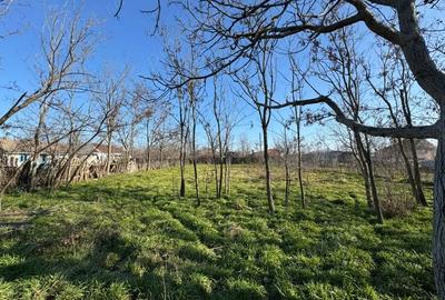 Casă cu 5 camere cu Teren 2750 Mp în Central