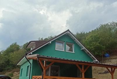 Casă cu 2 camere cu Teren 11710 Mp în Blăjeni