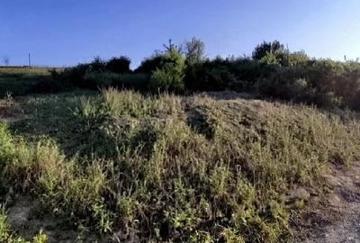 Teren de 581 mp, în Bârnova