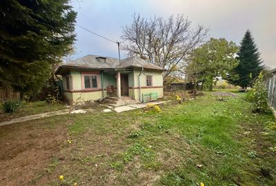 Teren Construcții intravilan de 2306 mp, în Tâncăbești - 15