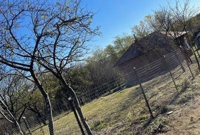 Teren de 2200 mp, în Milcoiu - 3