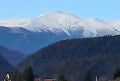 Teren de 1200 mp, în Podu Dâmboviței - 7