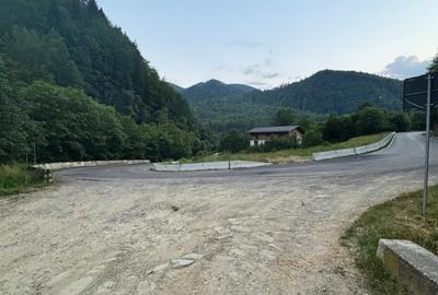 Teren Construcții intravilan de 4800 mp, în Gura Siriului