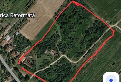 Teren de 21500 mp, în Sânmartin