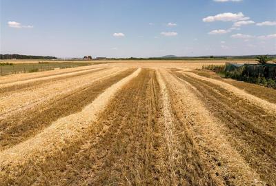 Teren intravilan de 3000 mp, în Nojorid - 8