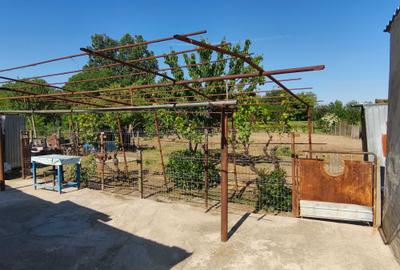 Casă cu 4 camere în Peceneaga - 8