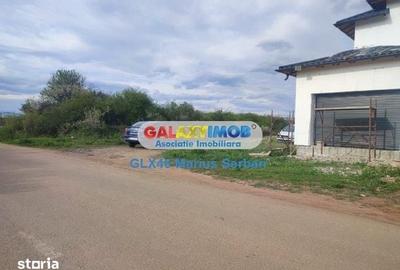 Teren de 600 mp, în Priseaca - 15