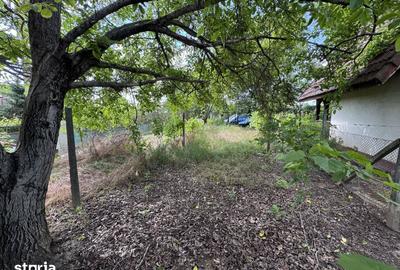 Teren de 500 mp, în Bercu Roșu - 5
