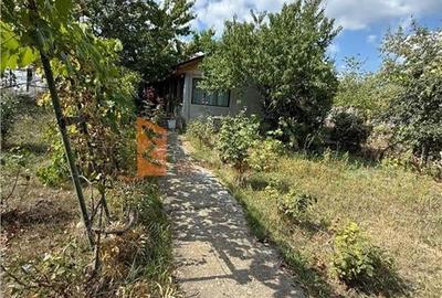 Casă individuală cu 3 camere cu Teren 1035 Mp în Zorești - 9