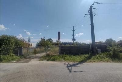 Teren de 16052 mp, în Oravița - 3