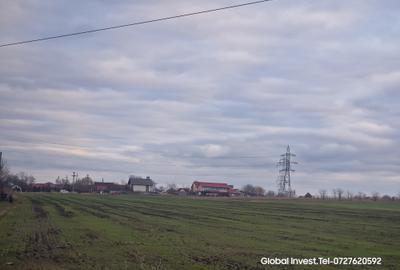 Teren agricol extravilan de 2500 mp, în Corbu - 8