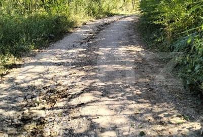 Spațiu comercial, în Mada